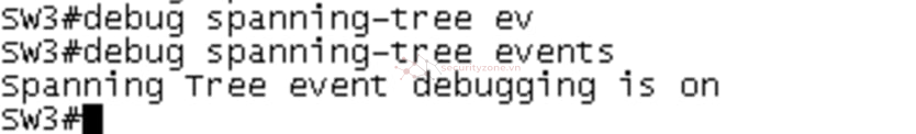 1742474198752.png