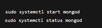 1750117999255.png