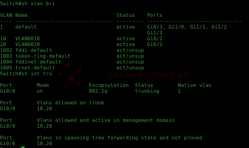 S1 show vlan.png