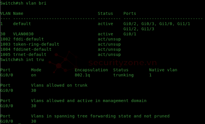 S2 sh vlan.png