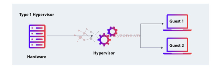 type1.png type1.png