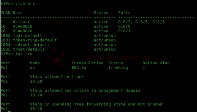 S1 sh vlan sh trunk.png