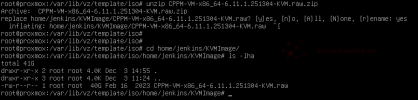 lab20-07-Unzip_CPPM_KVM.png